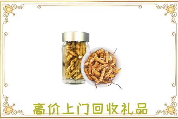 察哈尔右翼前旗周边回收虫草
